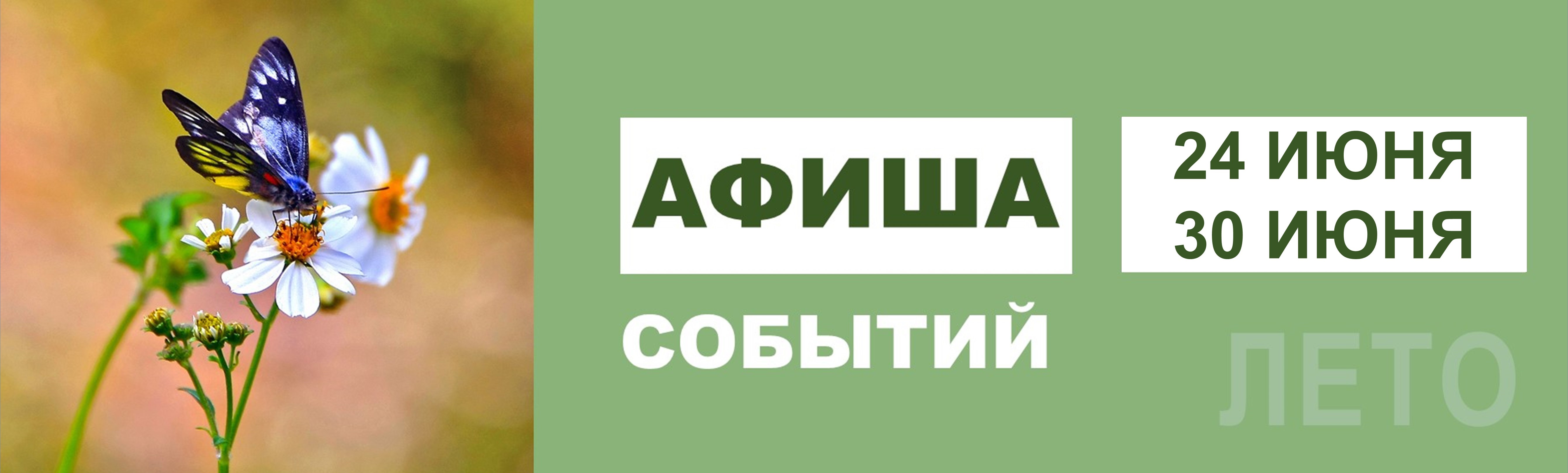 Центральная областная библиотека для молодежи - Главная страница